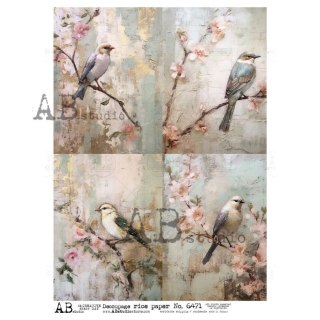 Papier ryżowy decoupage Abstudio A4 AB_6471