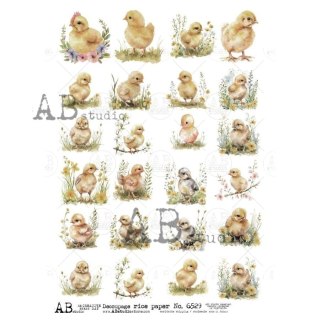 Papier ryżowy decoupage Abstudio A4 AB_6529