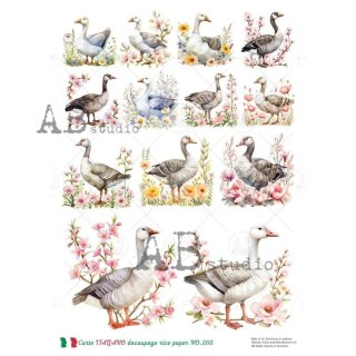 Papier ryżowy decoupage Carte Italiano Abstudio A4 ABCI_0266