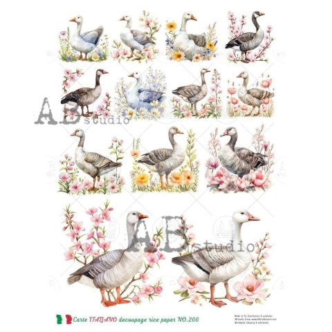 Papier ryżowy decoupage Carte Italiano Abstudio A4 ABCI_0266