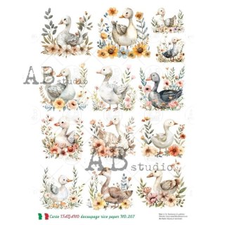 Papier ryżowy decoupage Carte Italiano Abstudio A4 ABCI_0267