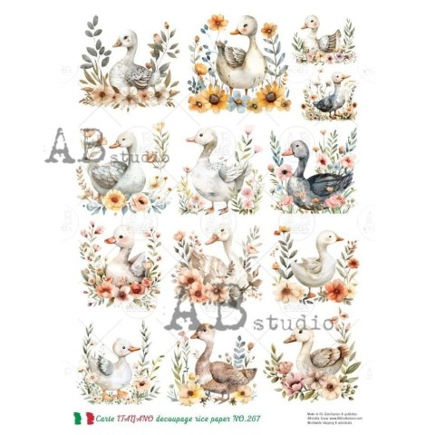 Papier ryżowy decoupage Carte Italiano Abstudio A4 ABCI_0267