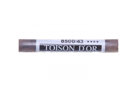 Pastele suche 8500 TOISON D OR - VAN DYCK BROWN [43]