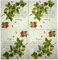 Serwetka nr. 1395 Oregano [33x33]