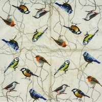 Serwetka nr. 2031 Birds Collection [33x33]