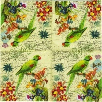 Serwetka nr. 2033 Parrot [33x33]