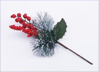 Gałązka ośnieżona głóg, jarzębina