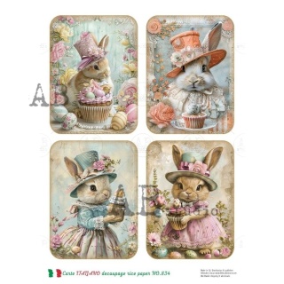 Papier ryżowy decoupage Abstudio Carte Itaiano A4 ABCI_834