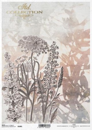 ITD Papier ryżowy A4 ITD R 1881