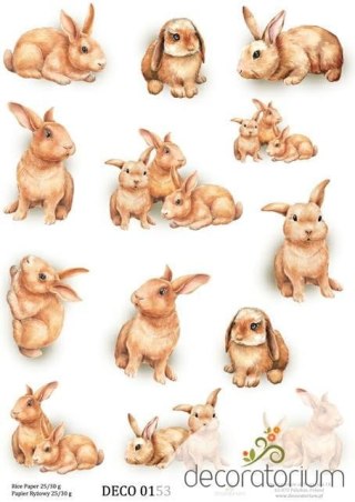 Papier ryżowy Decoratorium A4 DECO0153