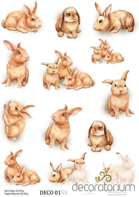 Papier ryżowy Decoratorium A4 DECO0153 Papier ryżowy Decoratorium A4 DECO0153