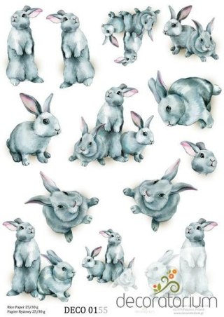 Papier ryżowy Decoratorium A4 DECO0155