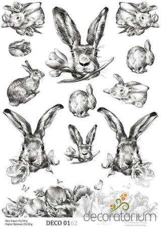 Papier ryżowy Decoratorium A4 DECO0162