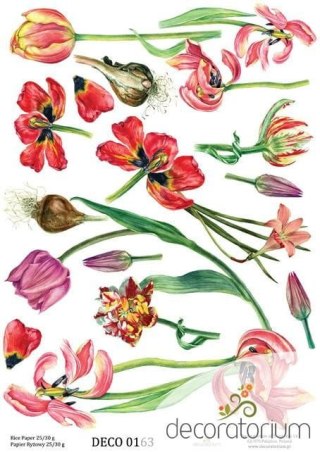 Papier ryżowy Decoratorium A4 DECO0163