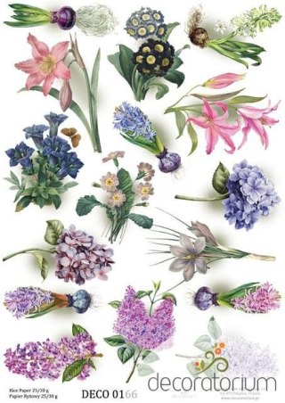 Papier ryżowy Decoratorium A4 DECO0166