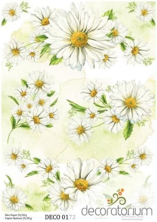 Papier ryżowy Decoratorium A4 DECO0172