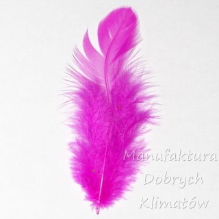 Piórka dekoracyjne amarantowy (20) - ok 190szt