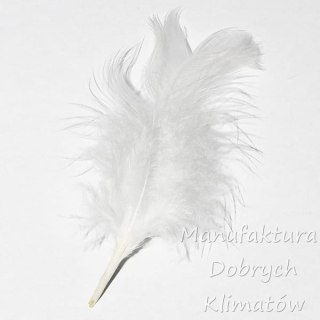 Piórka dekoracyjne białe (37) - ok 190szt