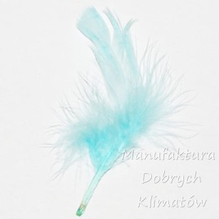 Piórka dekoracyjne błękitne (17) - ok 190szt