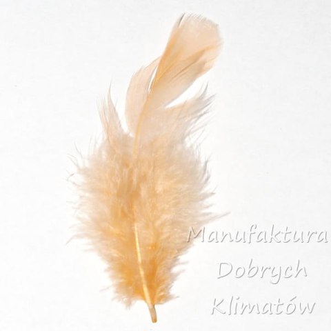 Piórka dekoracyjne brzoskwiniowe (9) - ok 190szt