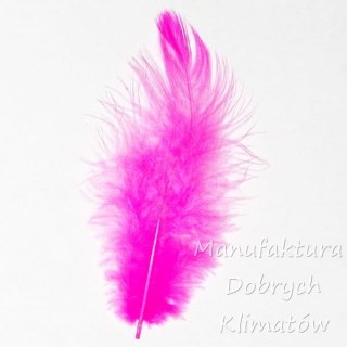 Piórka dekoracyjne ciemny róż (35) - ok 190szt