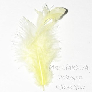 Piórka dekoracyjne cytrynowe (11) - ok 190szt