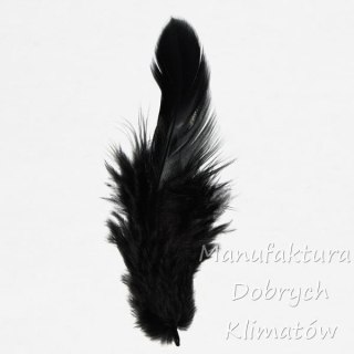 Piórka dekoracyjne czarne (38) - ok 190szt
