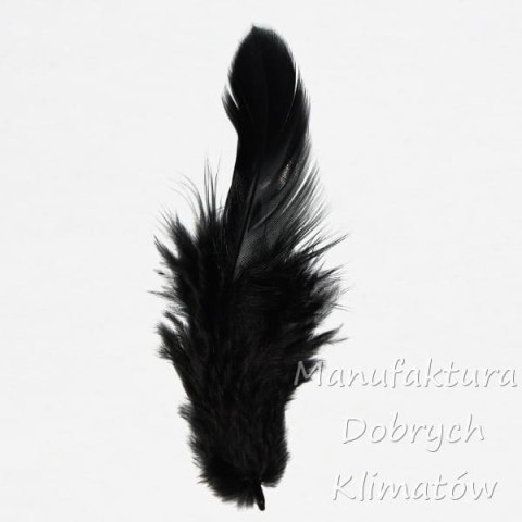 Piórka dekoracyjne czarne (38) - ok 190szt