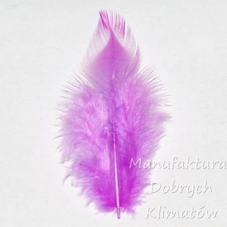 Piórka dekoracyjne fioletowe (21) - ok 190szt