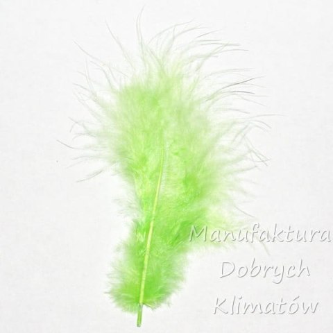 Piórka dekoracyjne jasnozielone (28) - ok 190szt