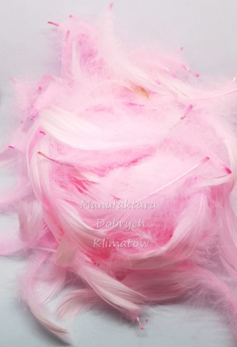 Piórka dekoracyjne jasny róż 5-10cm - ok 10g [Cz]