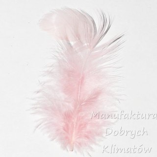 Piórka dekoracyjne pudrowy róż (25) - ok 190szt