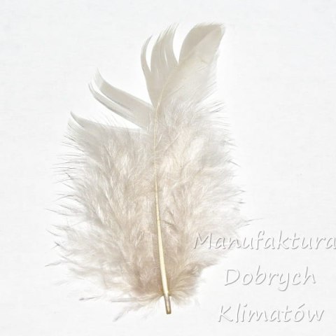 Piórka dekoracyjne szaro-beżowe (14) - ok 190szt