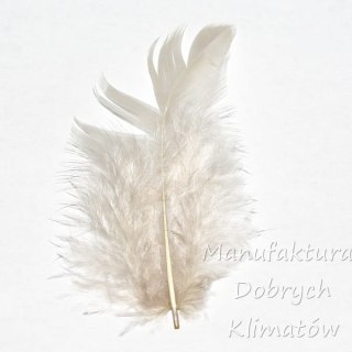 Piórka dekoracyjne szaro-beżowe (14) - ok 190szt