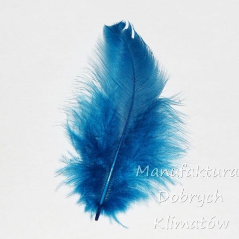 Piórka dekoracyjne turkus (16) - ok 190szt