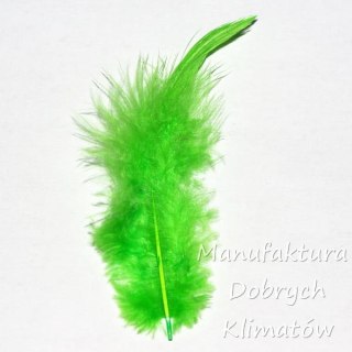 Piórka dekoracyjne zielone (29) - ok 190szt