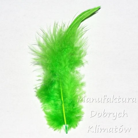 Piórka dekoracyjne zielone (29) - ok 190szt