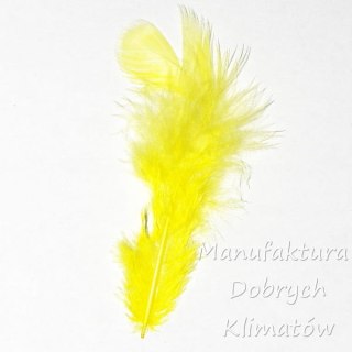 Piórka dekoracyjne żółte (12) - ok 190szt