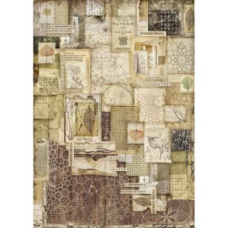 Stamperia Papier ryżowy A3 DFSA3051