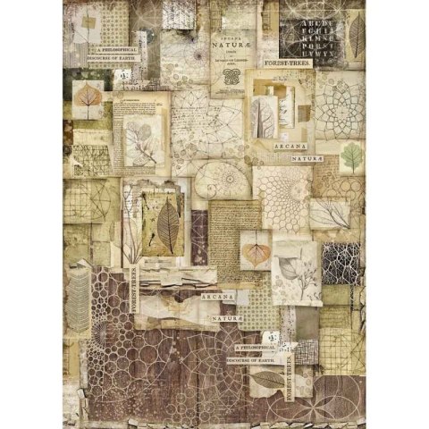 Stamperia Papier ryżowy A3 DFSA3051