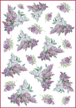 Stamperia Papier ryżowy A4 DFSA4106