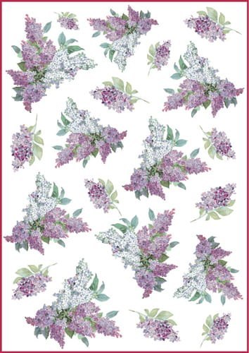 Stamperia Papier ryżowy A4 DFSA4106