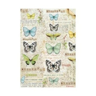 Stamperia Papier ryżowy A4 DFSA4178