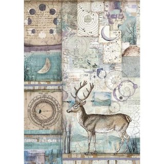 Stamperia Papier ryżowy A4 DFSA4390