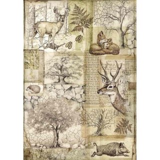 Stamperia Papier ryżowy A4 DFSA4426