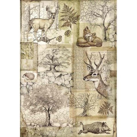 Stamperia Papier ryżowy A4 DFSA4426