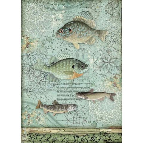 Stamperia Papier ryżowy A4 DFSA4428
