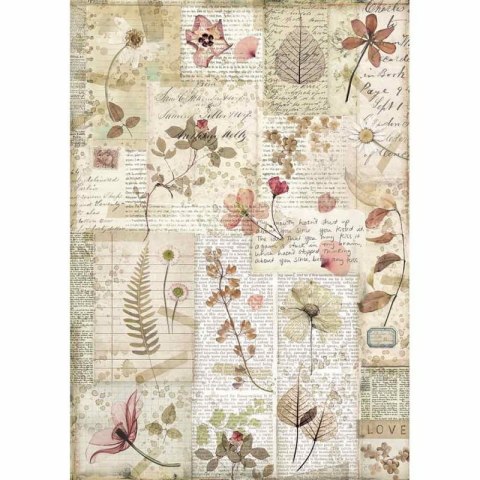 Stamperia Papier ryżowy A4 DFSA4440