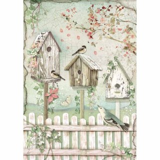 Stamperia Papier ryżowy A4 DFSA4448