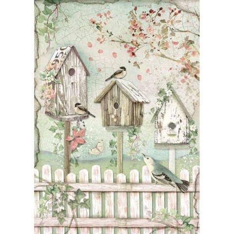 Stamperia Papier ryżowy A4 DFSA4448